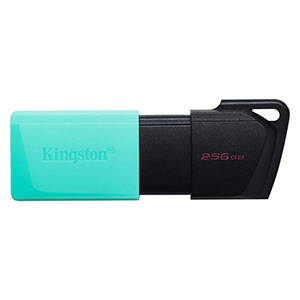 USB Flash Drive Kingston 256GB (DTXM) in Moscow