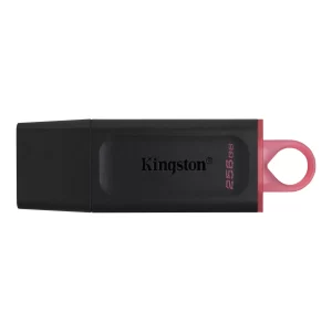 Kingston 256GB USB Drive 3.2 Exodia