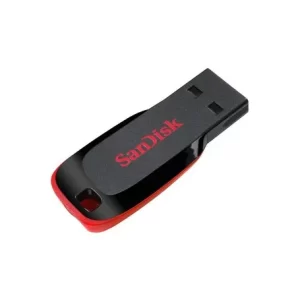 sandisk kingston wd